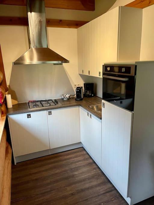 Unieke Houten Villa Met Sauna In Twente - 6P Den Ham Kültér fotó