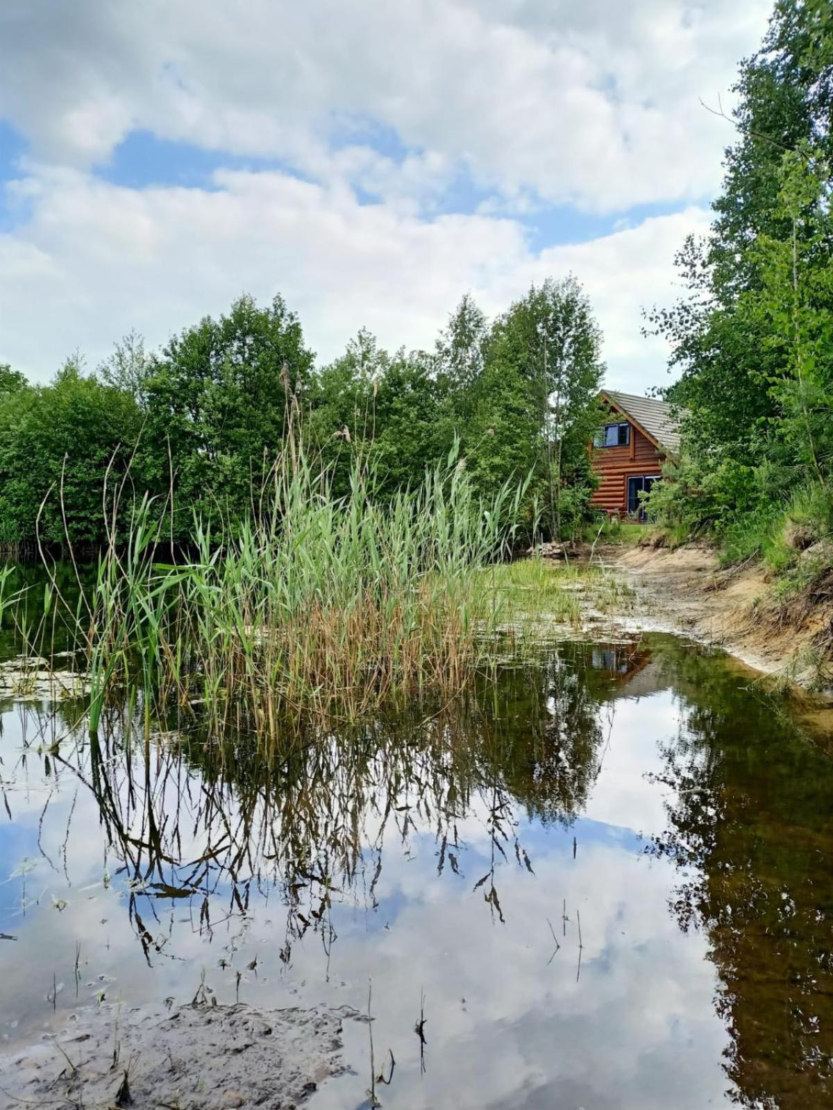 Unieke Houten Villa Met Sauna In Twente - 6P Den Ham Kültér fotó